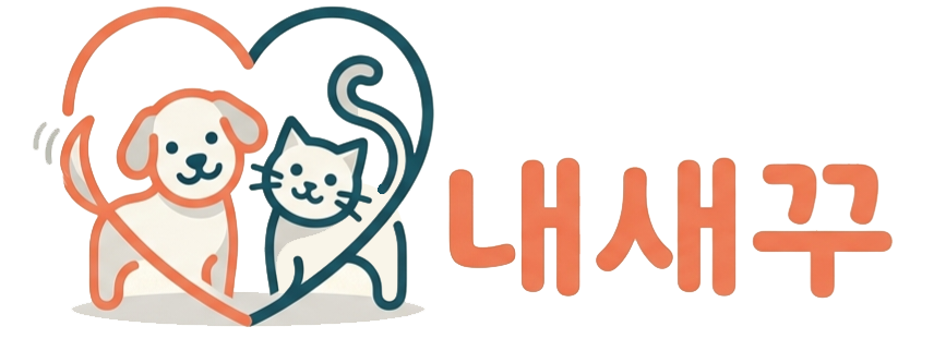 내새꾸